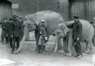 Birmese olifanten met verzorger, Jack Milbourne, Syed Ali (links) en San Dwe (midden), London Zoo, mei 1923 door Frederick William Bond